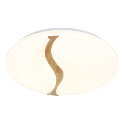 Globo - LED Stropní svítidlo LED/24W/230V 3000/4200/6000K pr. 33 cm