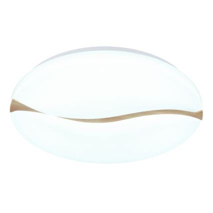 Globo - LED Stropní svítidlo LED/24W/230V 3000/4200/6000K pr. 33 cm