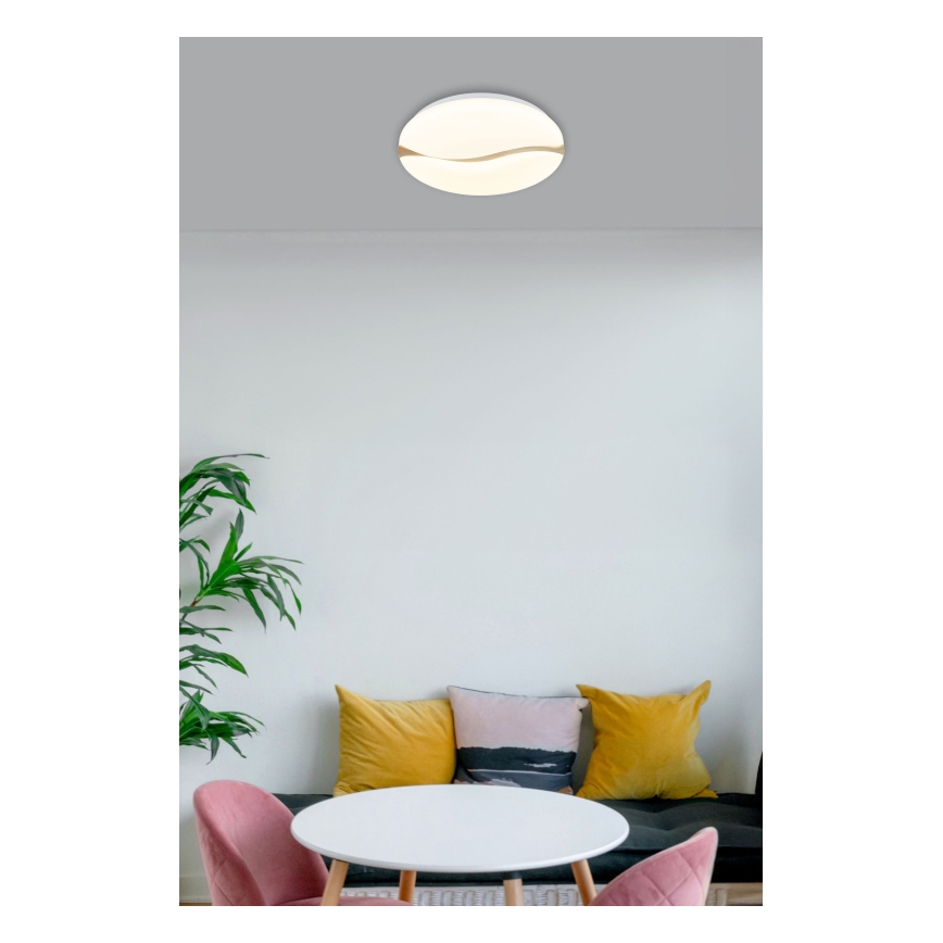 Globo - LED Stropní svítidlo LED/24W/230V 3000/4200/6000K pr. 39 cm