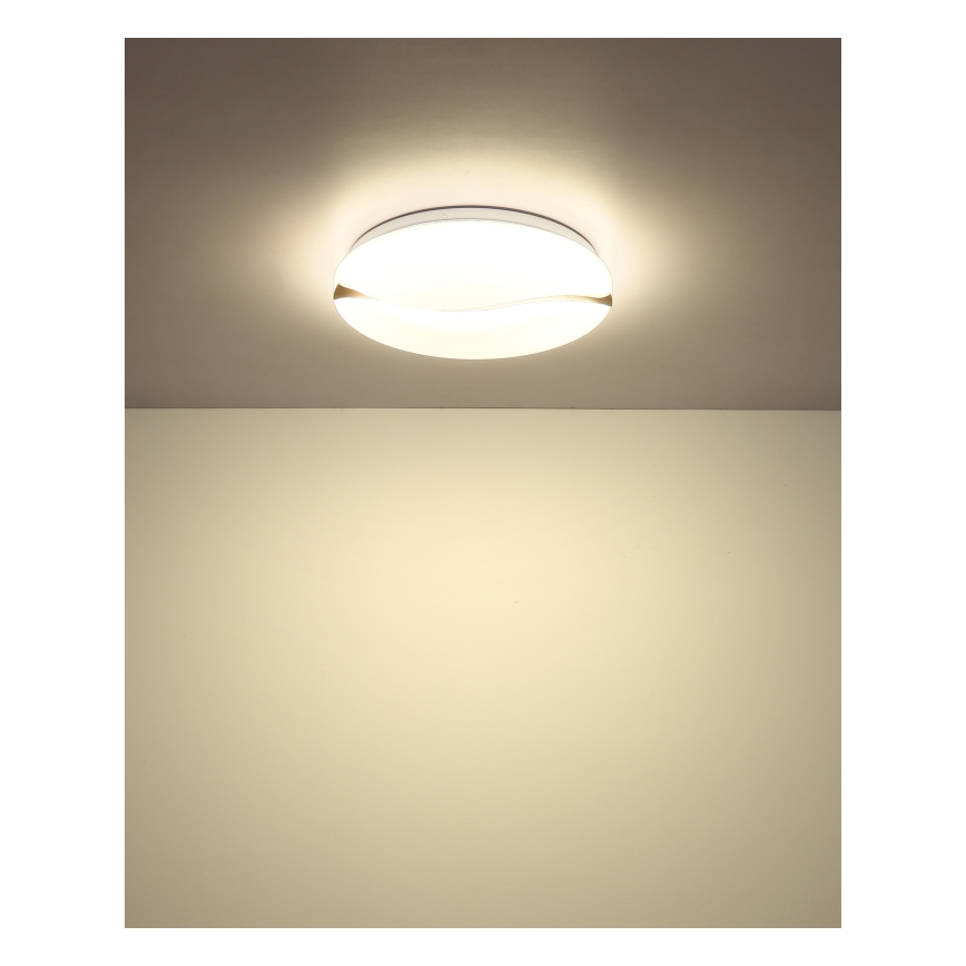 Globo - LED Stropní svítidlo LED/24W/230V 3000/4200/6000K pr. 39 cm