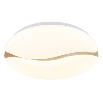 Globo - LED Stropní svítidlo LED/24W/230V 3000/4200/6000K pr. 39 cm