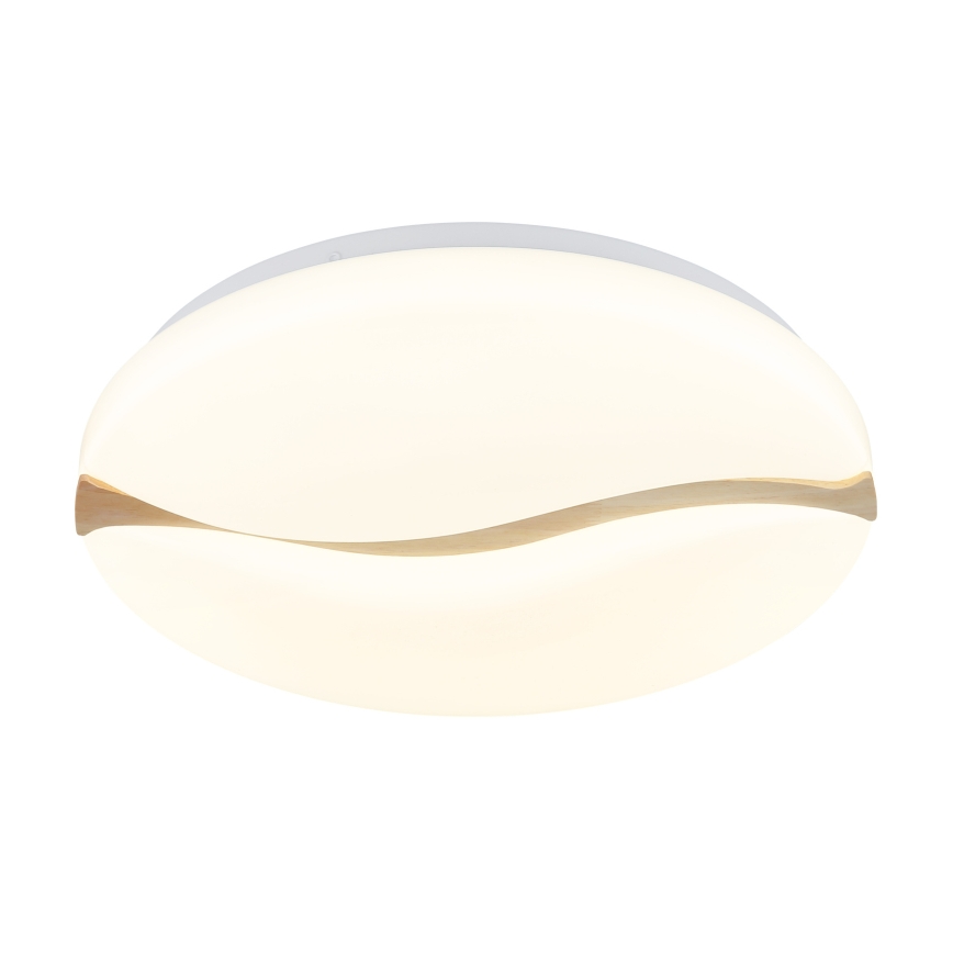 Globo - LED Stropní svítidlo LED/24W/230V 3000/4200/6000K pr. 39 cm