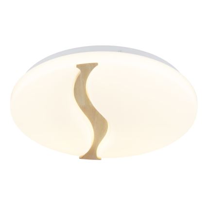 Globo - LED Stropní svítidlo LED/24W/230V 3000/4200/6000K pr. 39 cm