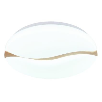 Globo - LED Stropní svítidlo LED/24W/230V 3000/4200/6000K pr. 39 cm