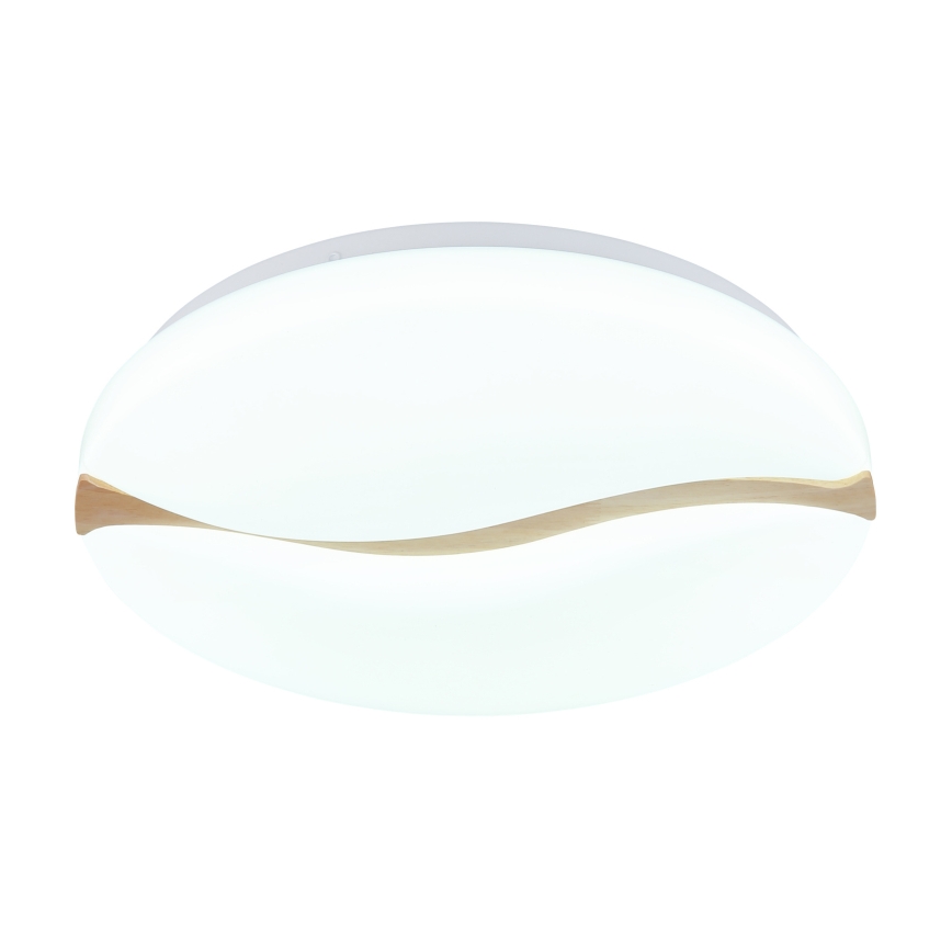 Globo - LED Stropní svítidlo LED/24W/230V 3000/4200/6000K pr. 39 cm