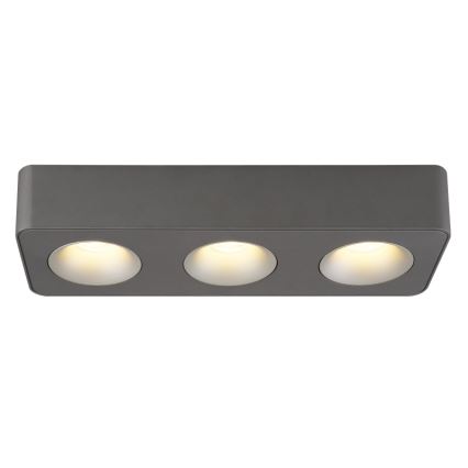 Globo - LED Stropní svítidlo LED/14W/230V 11,7x33,2 cm