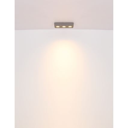 Globo - LED Stropní svítidlo LED/14W/230V 11,7x33,2 cm