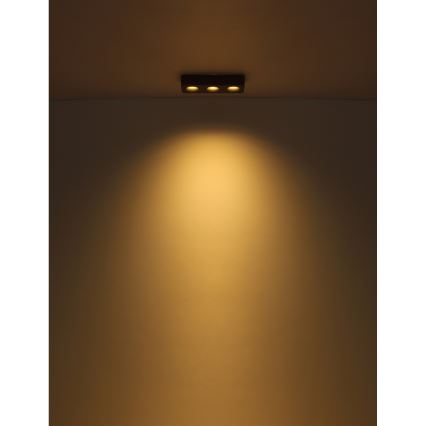 Globo - LED Stropní svítidlo LED/14W/230V 11,7x33,2 cm