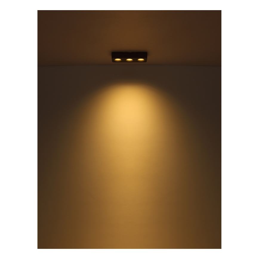 Globo - LED Stropní svítidlo LED/14W/230V 11,7x33,2 cm
