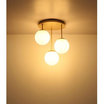 Globo - Přisazený lustr 3xE14/25W/230V mosaz
