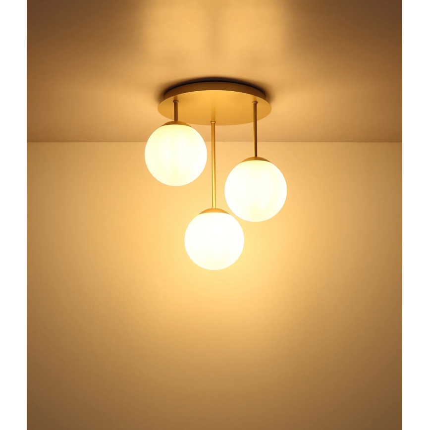 Globo - Přisazený lustr 3xE14/25W/230V mosaz