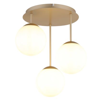 Globo - Přisazený lustr 3xE14/25W/230V mosaz