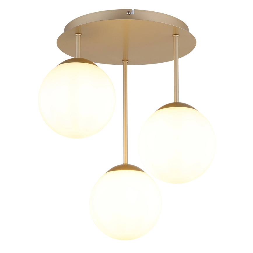Globo - Přisazený lustr 3xE14/25W/230V mosaz
