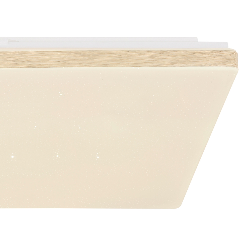 Globo - LED Stmívatelné stropní svítidlo LED/24W/230V Wi-Fi Tuya + DO