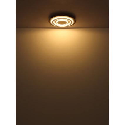 Globo - LED Stropní svítidlo LED/24W/230V 3000K pr. 32 cm antracit
