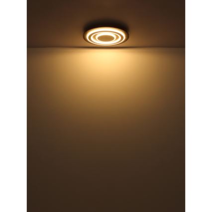 Globo - LED Stropní svítidlo LED/24W/230V 3000K pr. 32 cm