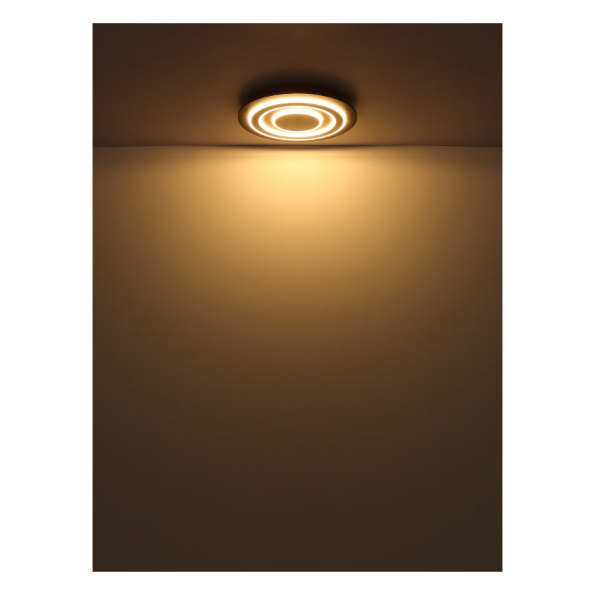 Globo - LED Stropní svítidlo LED/24W/230V 3000K pr. 32 cm