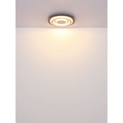 Globo - LED Stropní svítidlo LED/24W/230V 3000K pr. 32 cm
