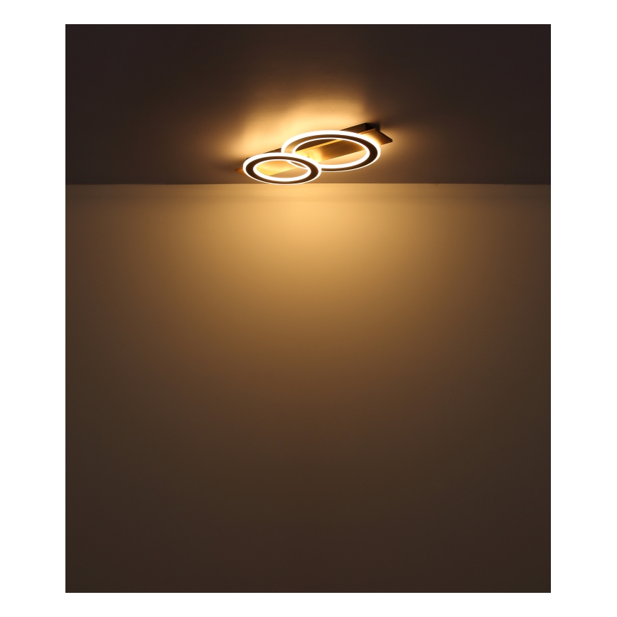 Globo - LED Stropní svítidlo LED/40W/230V 3000K 35x63 cm