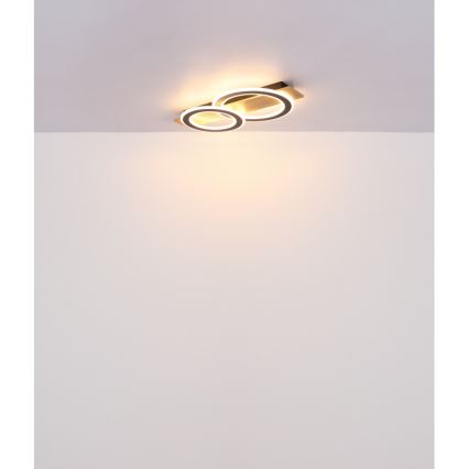 Globo - LED Stropní svítidlo LED/40W/230V 3000K 35x63 cm