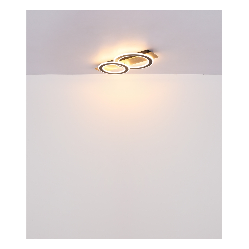 Globo - LED Stropní svítidlo LED/40W/230V 3000K 35x63 cm