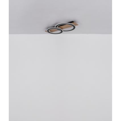 Globo - LED Stropní svítidlo LED/40W/230V 3000K 35x63 cm