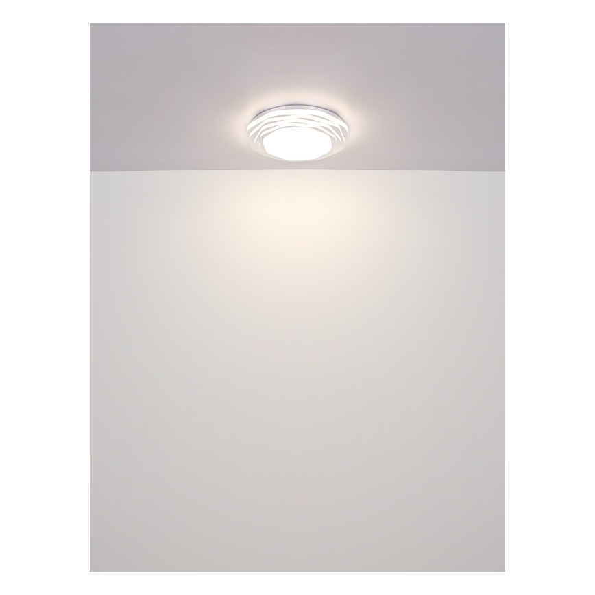 Globo - LED Stmívatelné stropní svítidlo LED/24W/230V 3000/4000/6000K pr. 38 cm