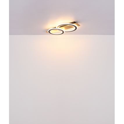 Globo - LED Stropní svítidlo LED/40W/230V hnědá
