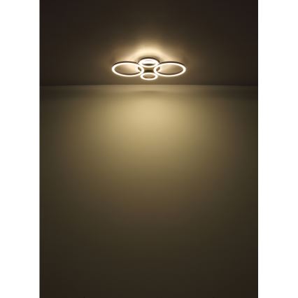 Globo - LED Stropní svítidlo LED/40W/230V 2700/4500/6500K 35,5x53 cm černá