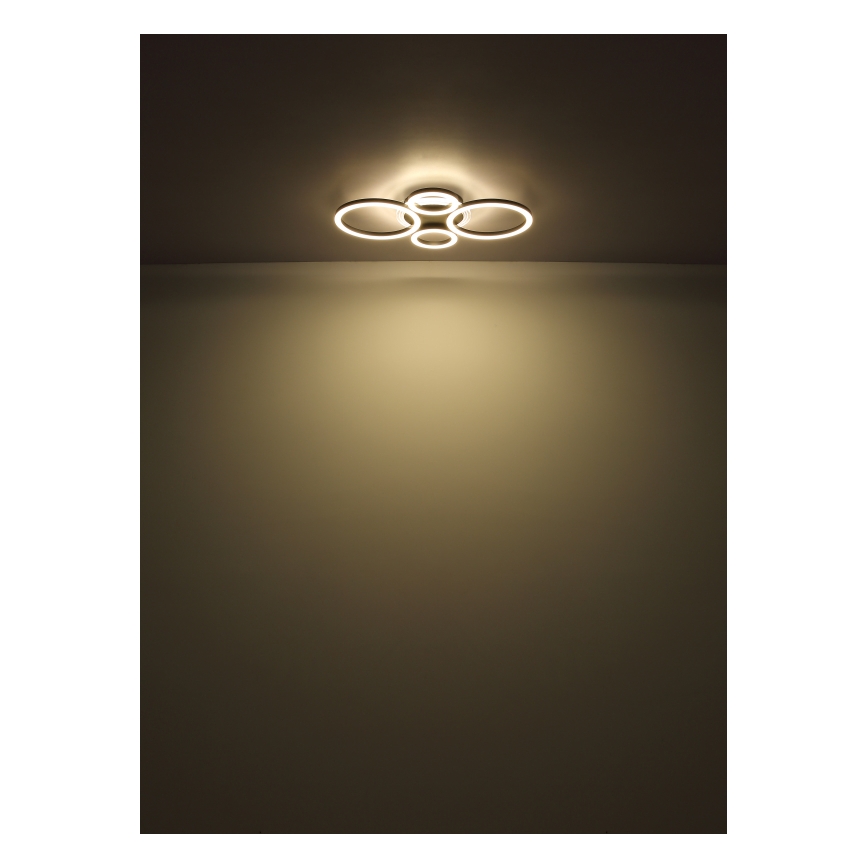 Globo - LED Stropní svítidlo LED/40W/230V 2700/4500/6500K 35,5x53 cm černá