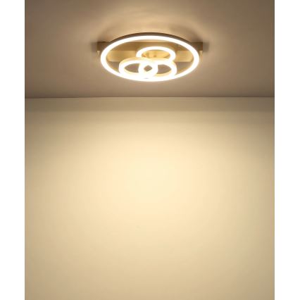 Globo - LED Stmívatelné stropní svítidlo LED/40W/230V 2700-6500K pr. 35x33 cm béžová + dálkové ovládání