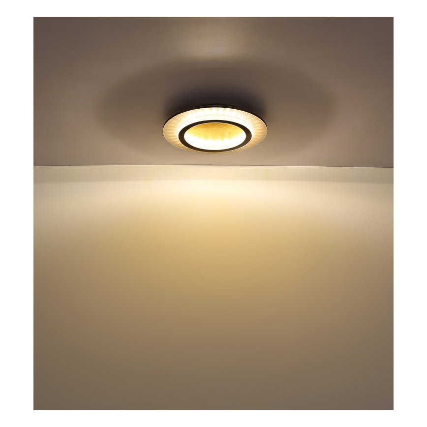 Globo - LED Stropní svítidlo LED/24W/230V 3000/4000/6500K pr. 35 cm černá