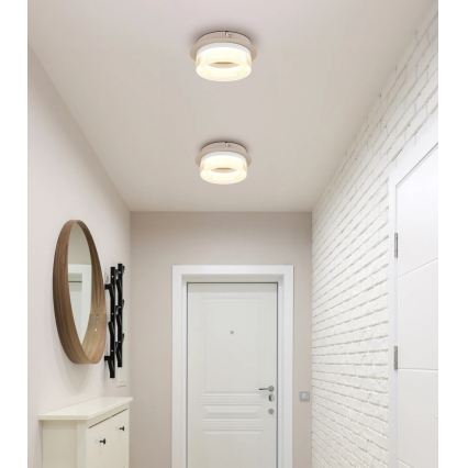 Globo - LED Stropní svítidlo LED/8W/230V 3000K pr. 16 cm