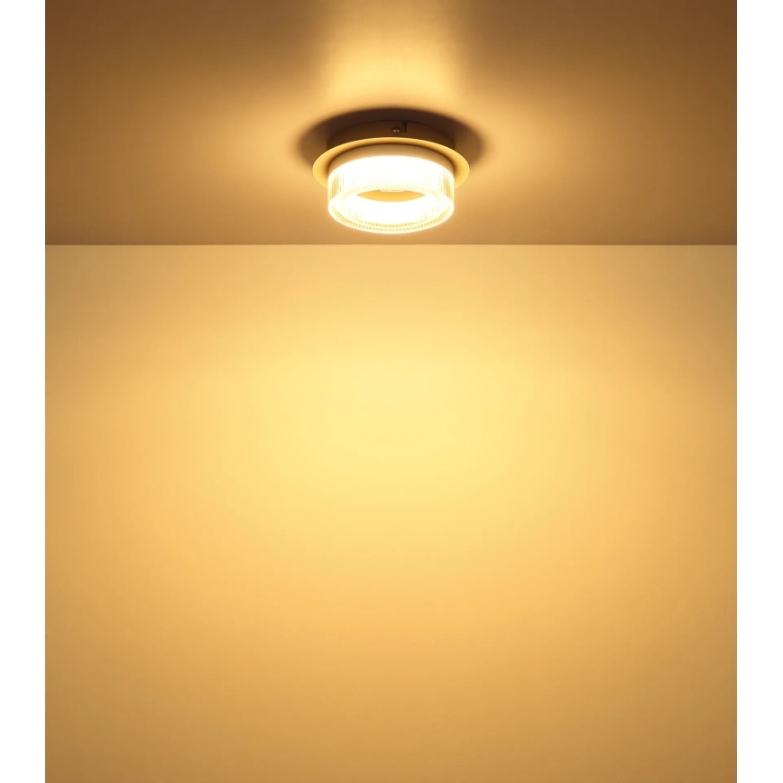 Globo - LED Stropní svítidlo LED/8W/230V 3000K pr. 16 cm