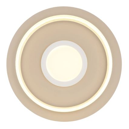 Globo - LED Stropní svítidlo LED/24W/230V 3000K pr. 40 cm