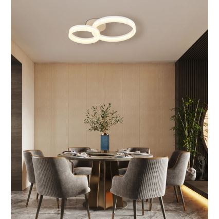 Globo - LED Stropní svítidlo LED/24W/230V 3000K 33x50 cm