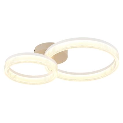 Globo - LED Stropní svítidlo LED/24W/230V 3000K 33x50 cm