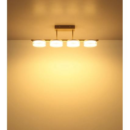 Globo - LED Přisazený lustr LED/24W/230V 3000K