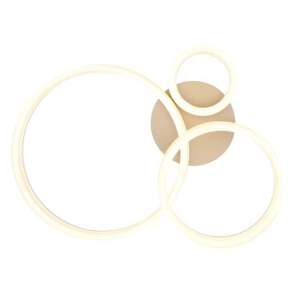 Globo - LED Stropní svítidlo LED/24W/230V 3000K 40,5x51 cm