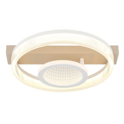 Globo - LED Stropní svítidlo LED/18W/230V 3000K 33x36 cm