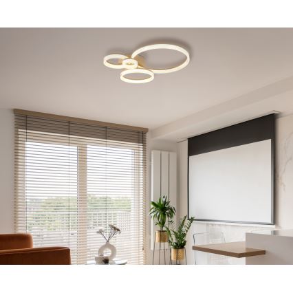 Globo - LED Stropní svítidlo LED/40W/230V 3000K 64,5x75 cm