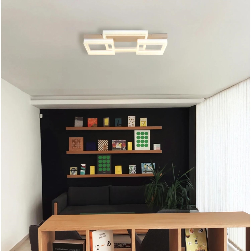 Globo - LED Stropní svítidlo LED/40W/230V 3000K 33x66 cm