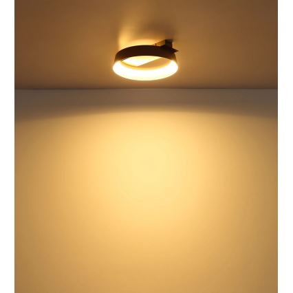 Globo - LED Stropní svítidlo LED/12W/230V 3000K 26x25 cm
