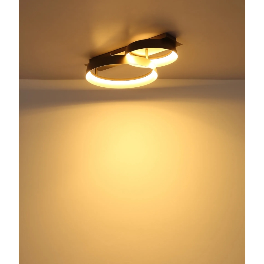 Globo - LED Stropní svítidlo LED/24W/230V 3000K 50x35 cm
