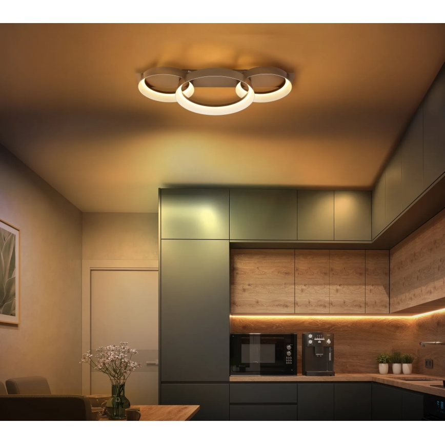 Globo - LED Stropní svítidlo LED/40W/230V 3000K 70x35 cm