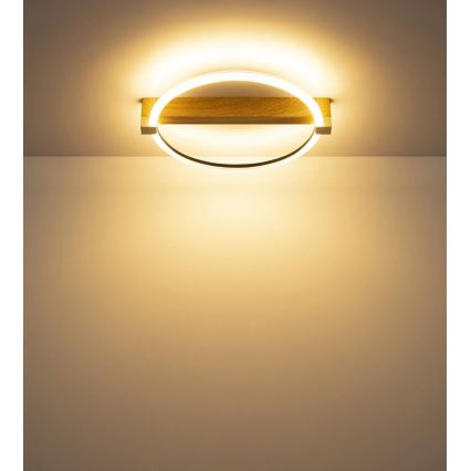 Globo - LED Stropní svítidlo LED/15W/230V 3000K 41,4x38 cm béžová