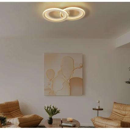 Globo - LED Stropní svítidlo LED/30W/230V 3000K 31,5x52,5 cm