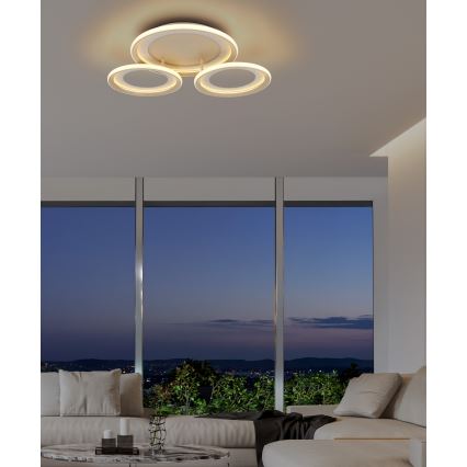 Globo - LED Stropní svítidlo LED/40W/230V 3000K 60,5x62,5 cm