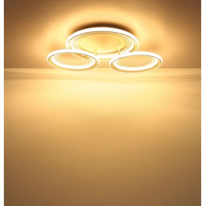 Globo - LED Stropní svítidlo LED/40W/230V 3000K 60,5x62,5 cm