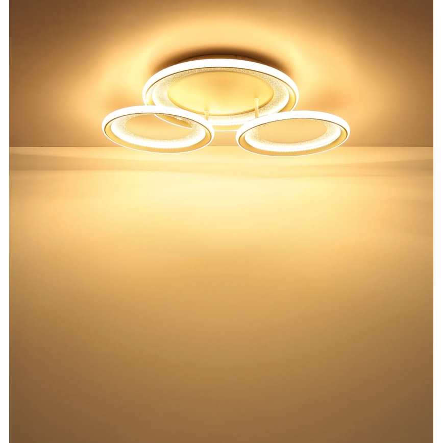 Globo - LED Stropní svítidlo LED/40W/230V 3000K 60,5x62,5 cm